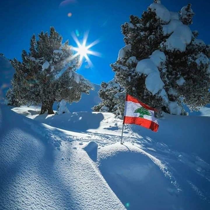 منخفض جوي يسيطر مساءً والطقس غدًا ماطر بغزارة والثلوج على 900 متر